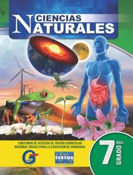 Área De Ciencias Naturales – Catálogo 2024-25